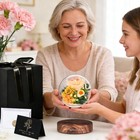 Aspmiz Magnetic Levitation Forever Flower 2026 With Led Light Champagne Rose 