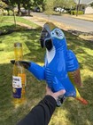 Corona Beer Parrot Blow Up Inflatable