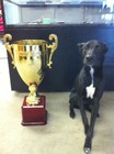 Giant 24  Gold Trophy Cup - Free Engraving