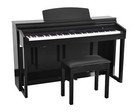 Artesia Dp-150e Plus Home Digital Piano Upright 88 Keys Weighted  Hi-gloss Black