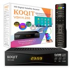 Tv Receiver 