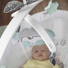 Fisher Price Sweet Snugamonkey Soothing Motions Bassinet With Lights And Sound