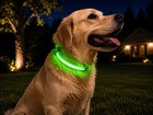Led Light Up Dog Collar Green Usb  Flashing Safety Collar Xl Night