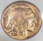 1934 Buffalo Nickel Ngc Graded Ms 64