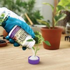 Bonide Bontone Ii Rooting Powder - Ready-to-use Dust - 1 25 Oz  pack Of 3 