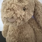 Jellycat Bashful Beige Bunny  Rabbit Plush Doll  London Medium 12 