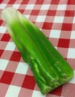Faux Fake Food Replica Vegetables Celery Home School Stage Display Prop Vc88