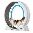 45  Large Cat Exercise Wheel With Pedometer - Indoor Fitness For Weight Loss
