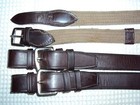 Jeremy   Lord English training Reins -leather web - D-rings - Buckle Ends - Nice