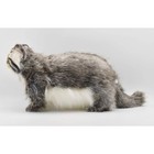Hansa Pallas s Cat Plush Stuffed Animal Realistic Large 17in Japan