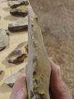 Flint Knapped Stone Point Blade Knife Point Projectile Point
