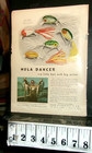 28 Fred Arbogast Lure Ads 1946-1952-hula Dancer- Wigglers- Jitterbug-etc 