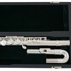 Hot Selling Alto Flute Pfa-206eu G Tune 16 Closed Hole Keys With Case -
