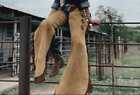 Handmade Suede Leather Chaps  Leather Chinks For Horse Riding  Western Pants