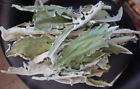 Mandrake Mandragora Officinarum Dry Leaves 50 Gram Wild Harvested 2024
