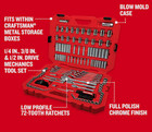Craftsman 159-piece Standard  sae    Metric Chrome Mechanics Tool Set Hard Case