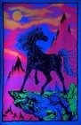 Black Stallion Rare Original Vintage 1975 Black Light Poster 23 X 35