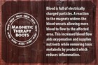 Horse Magnetic Therapy Leg Wraps - 1100 Gauss Magnets Healing Therapy - Set Of 2
