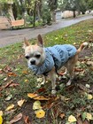 Pet Dog Winter Jacket Waterproof Puppy Cat Vest Warm Fleece Padded Coat Clothes