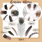 48pcs Natural Feathers Bulk - 6 Styles 48pcs Assorted Natural Feathers  Peacock