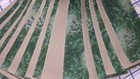 Jelly Roll-green Vines With Tan Blender-20-2 1 2  Strips