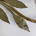 Vintage Candelabra 32  Wall Light Sconces Green Gold Wrought Iron Set Of 2