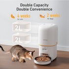 Automatic Cat Feeder - 4l Timed Auto Pet Feeder For Cat And Dog With Dry Food   