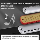 10 Hole Diatonic Harmonica Key C Mouth Organ Blues Harp With Case Beginner Gift