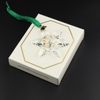 2024 Authentic Swarovski Crystal Christmas Ornament Large Annual Edition 5661079