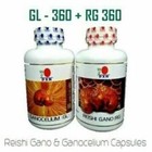 Dxn Reishi Gano And Ganocelium Capsules - Rg   Gl  360   360 Capsules  Long Exp