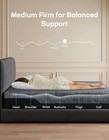 Queen Massage Adjustable Base Dual Motor 14 Memory Foam Mattress Ns1 Wireless