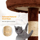 Cat Tree 36 Inch Tall Scratching Poststoy Activity Centre Cat Tower Cat Condo