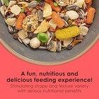 Conure Bird Food Nutritious Fun Blend Fiesta Parrot Seed Mix Pet Feed 4 5 Lb