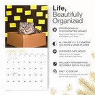 Red Ember Angry Cats 2026 Wall Calendar 12 Month   New 2026  12 