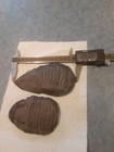 Trimerus Trilobite From Middleport  New York 2 Specimens