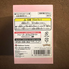 Pokemon Official Card Game Flip Deck Case Slowpoke Japan Japanese New