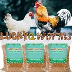 Dried Bsfl Black Soldier Fly Larvae Mealworm Non-gmo For Chicken Birds Duck Lot