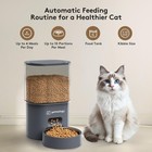 Automatic Cat Feeder  3l Timed Cat Feeder For Dry Food With Programmable Port