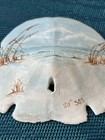 Vtg Sand Dollar Handpainted Beach Scene 4 x4 5  Decor Shells Ocean Signed