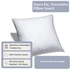 Down Etc  Feather Pillow Insert - Square