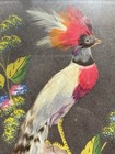 Vintage    antique Oriental Asian Feather Art