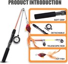 Interactive Cat Wand Toy Retractable Fishing Pole With Fish Feather For Indoor