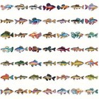 50pc Cool Fish Clear Sticker Pack Lot Phone Case  Laptop  Scrapbook  Journaling