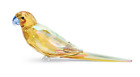 Swarovski Jungle Beats Yellow Parakeet Lechee Figurine - 5619217