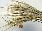100 6 - 9  Nat Mix Whiting Grizzly Rooster Saddle Feathers For Hair Extensions 