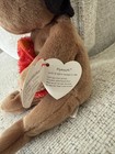 2004 Plymouth Thanksgiving Pilgrim Bear Ty   Beanie Babies
