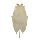 Charming Antique Embossed Victorian Scrap - Lovely Lady Long Hair