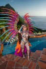 Caribbean Carnival Wings