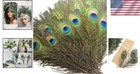 Vibrant 10 Pcs Peacock Feathers 10-12 Inches - Ideal For Wedding Decor   Crafts