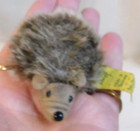 Vintage original Steiff   joggi  Hedgehog  1670706 With Tag 2 3 8 